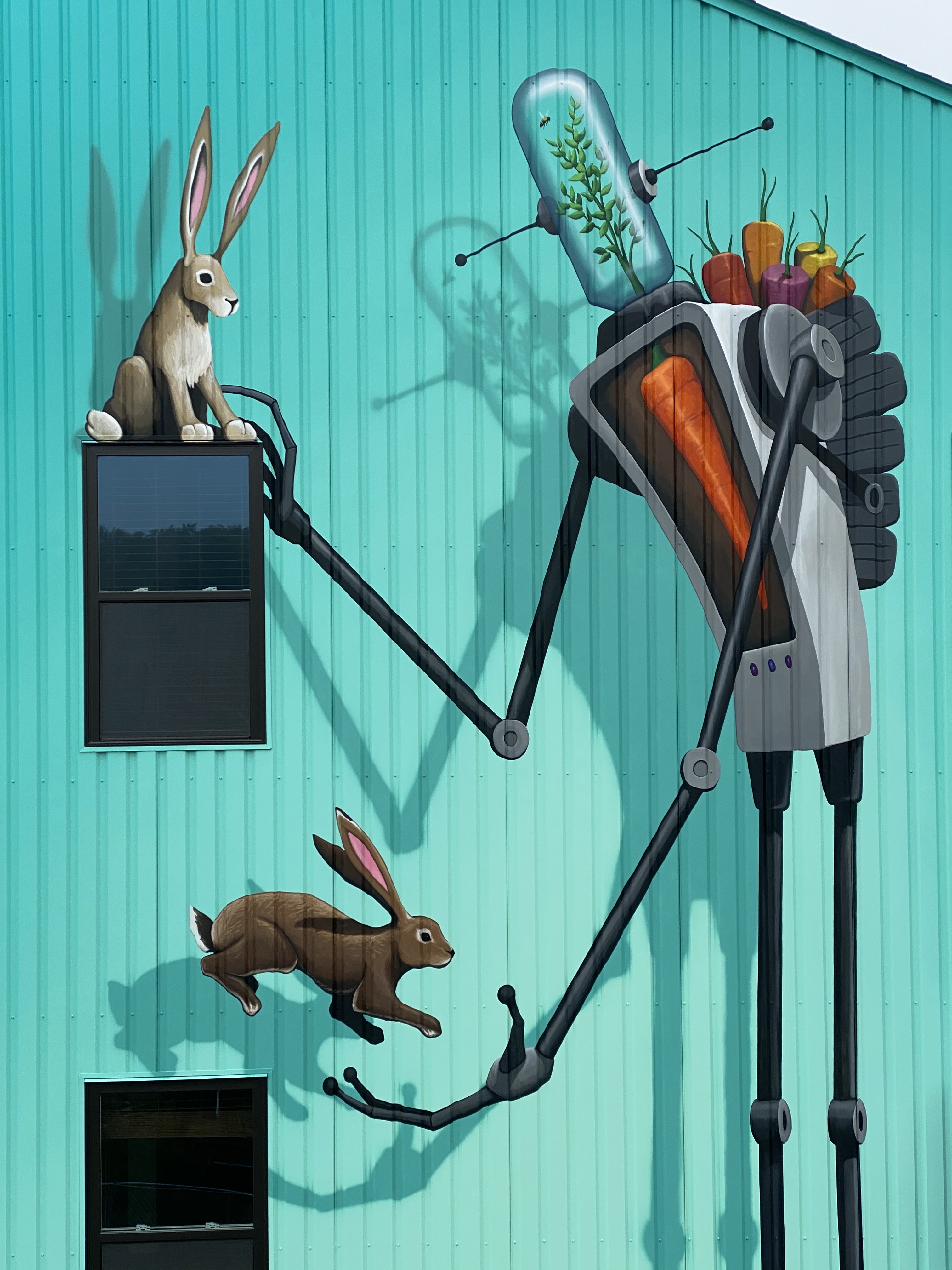 Carrot-Bot-004