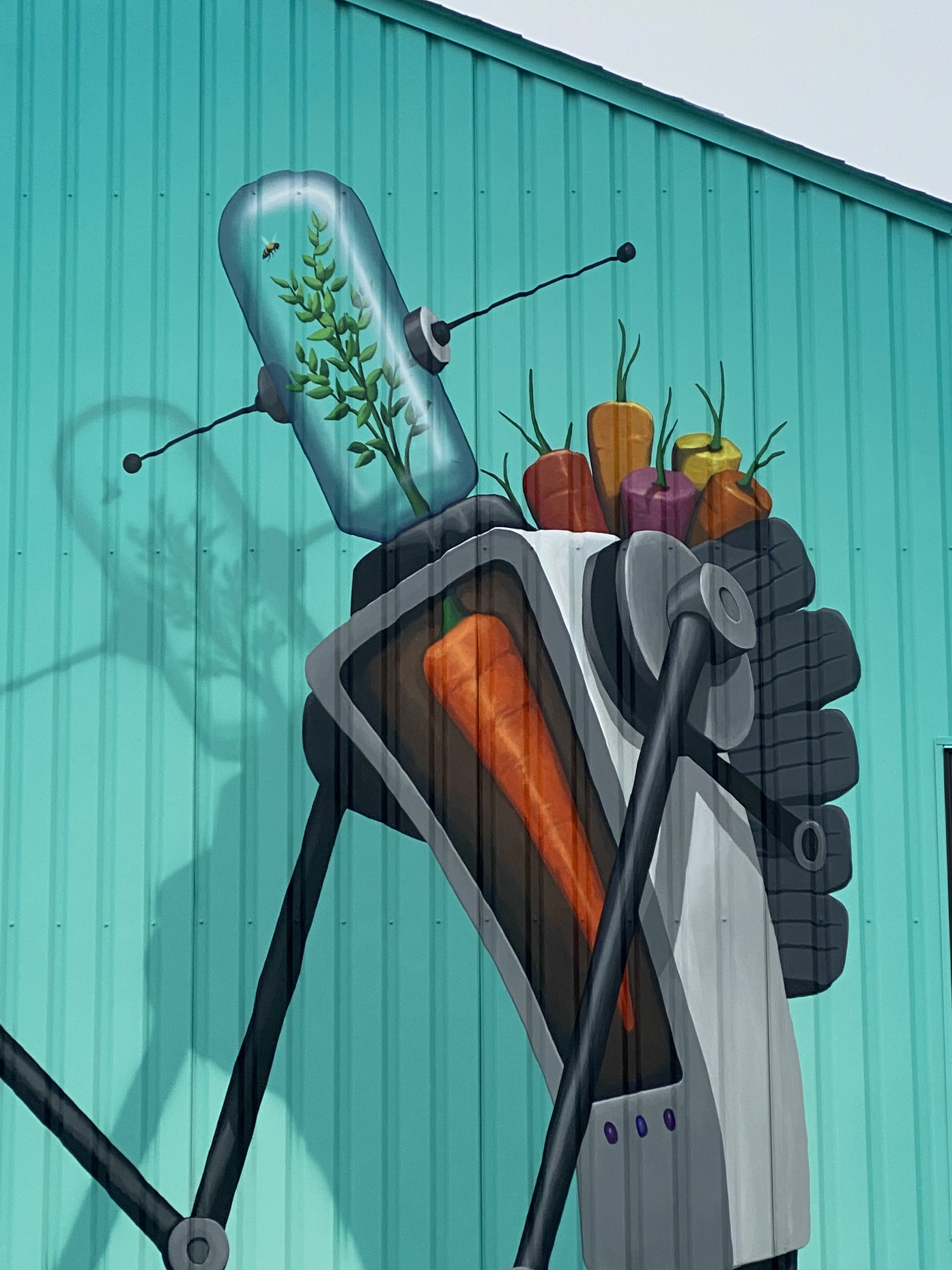 Carrot-Bot-006