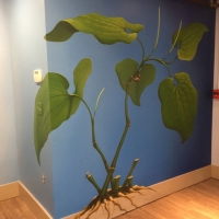 CBD Kava Bar 01