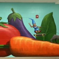 FHS-008