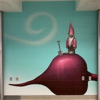 FHS-011