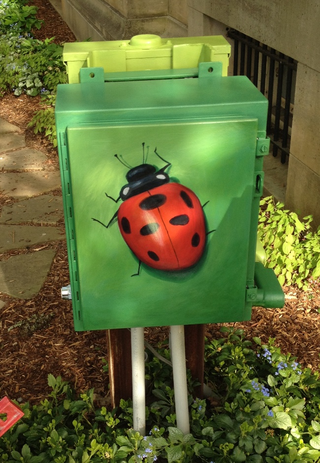 bugs 003 0