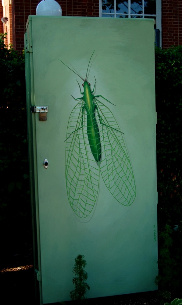 bugs 006