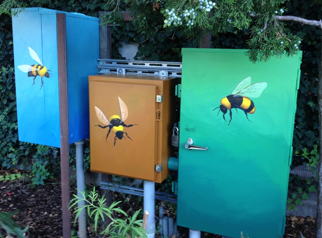 bugs 016