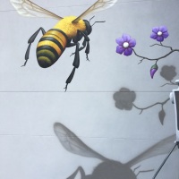 Pollinators-04