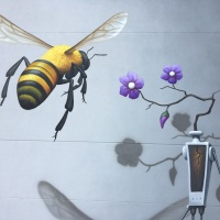 Pollinators-05