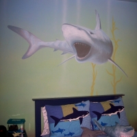 shark room 001