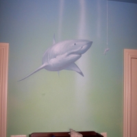 shark room 004