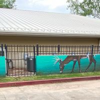 Nature-Center-On-the-Ground-1