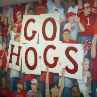 go hogs 001